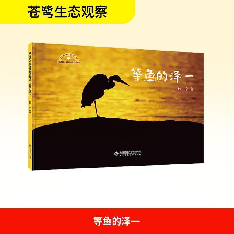 等鱼的泽一