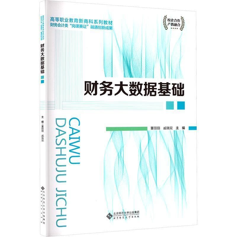 财务大数据基础