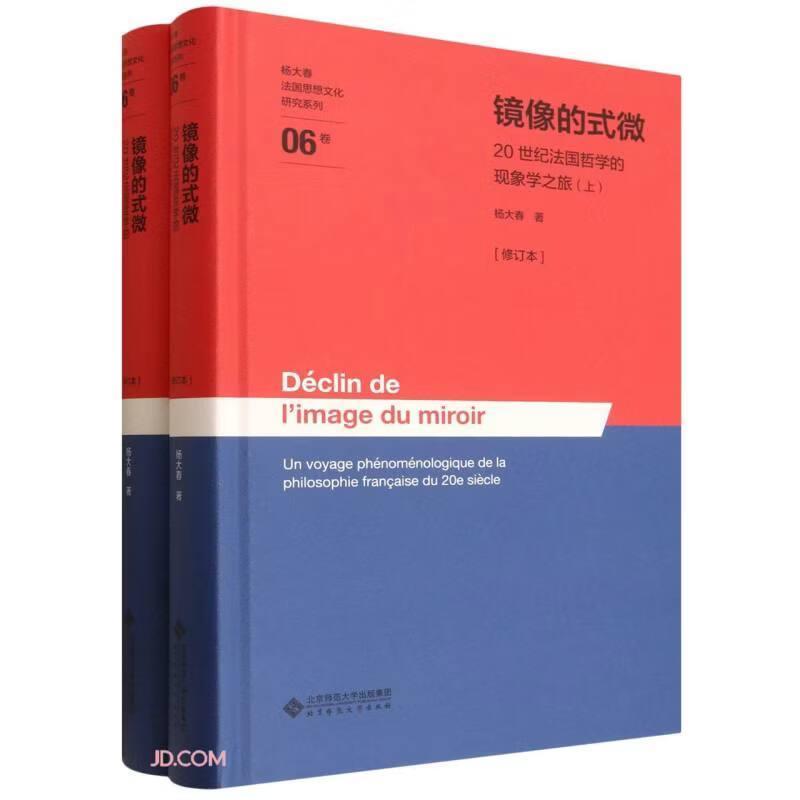 镜像的式微—20世纪法国哲学的现象学之旅: