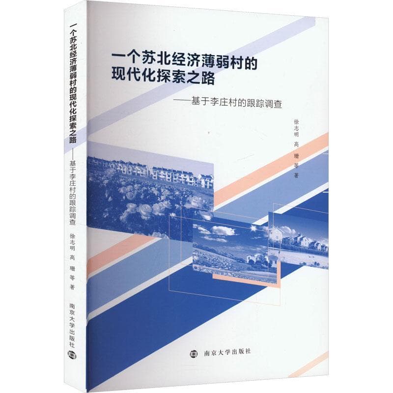 一个苏北经济薄弱村的现代化探索之路—基于李庄村的跟踪调查