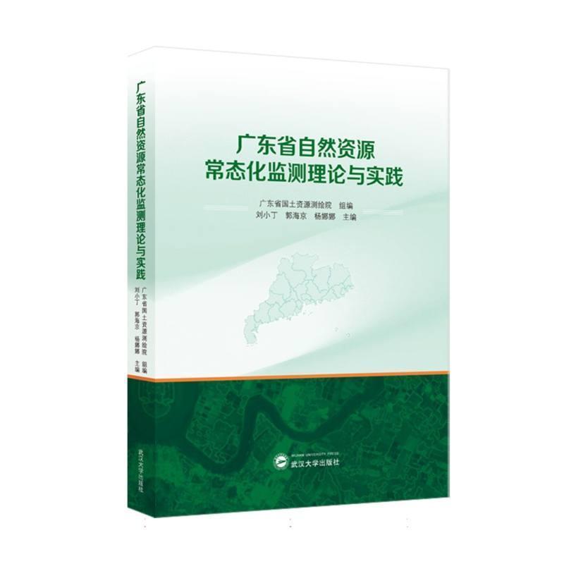 广东省自然资源常态化监测理论与实践
