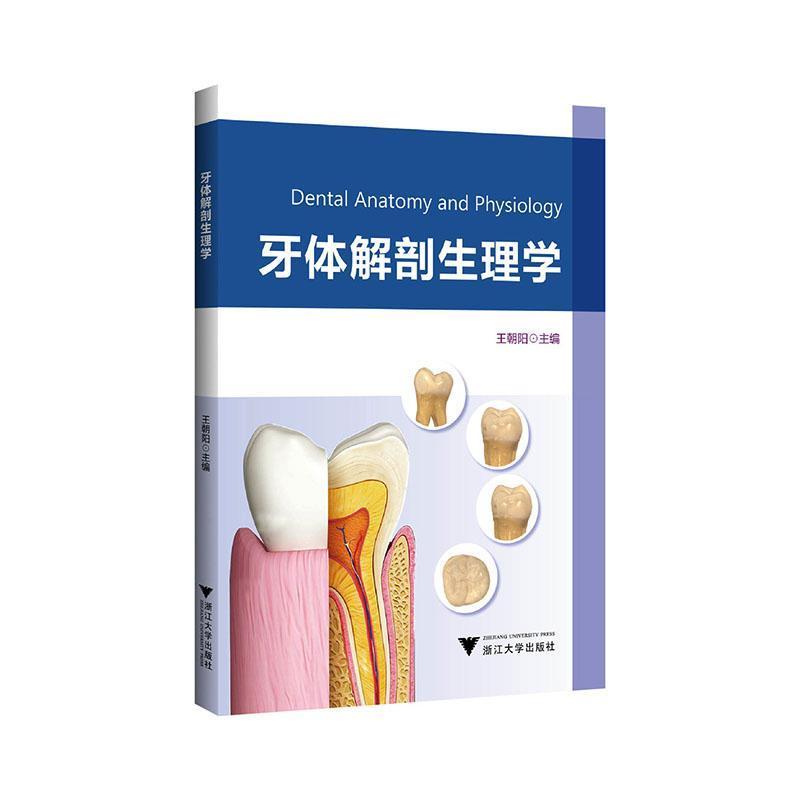牙体解剖生理学
