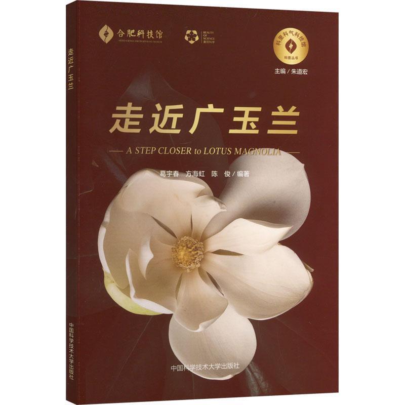 走近广玉兰