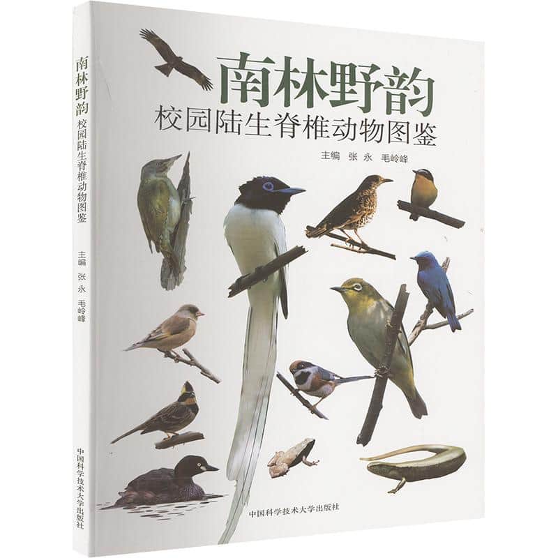 南林野韵—校园陆生脊椎动物图鉴