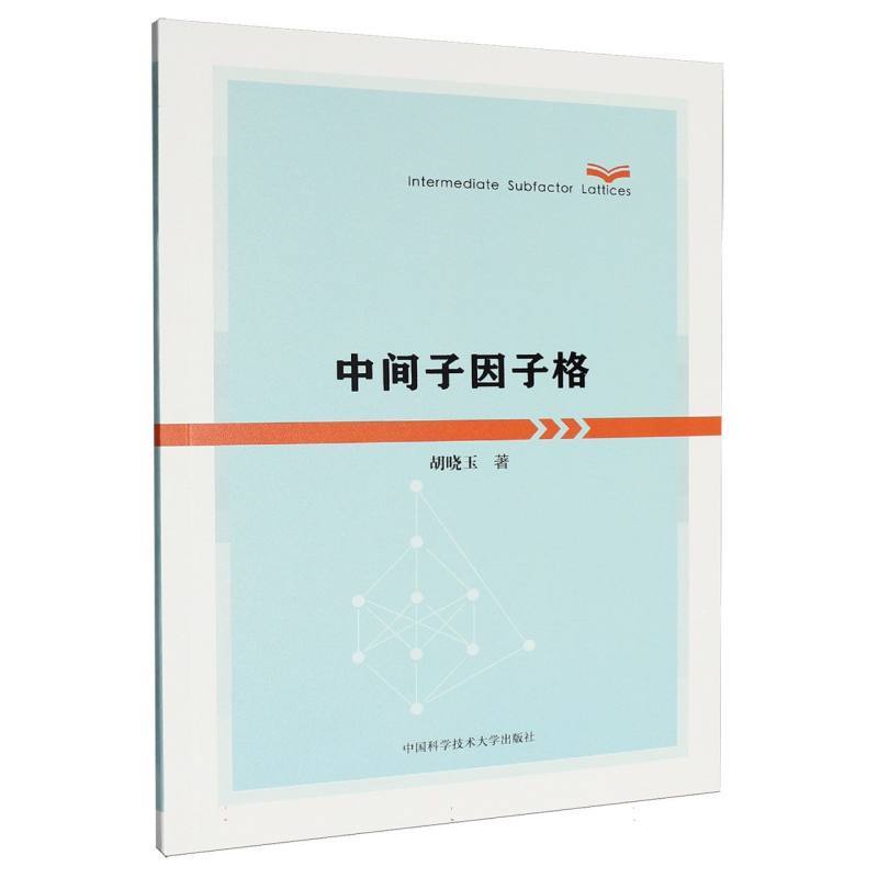 中间子因子格