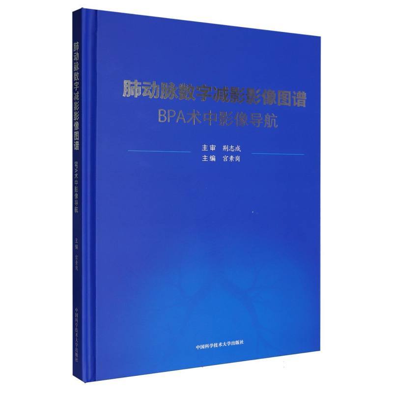 肺动脉数字减影影像图谱—BPA术中影像导航