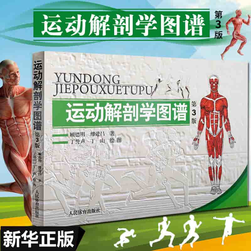 少林功夫五段教程