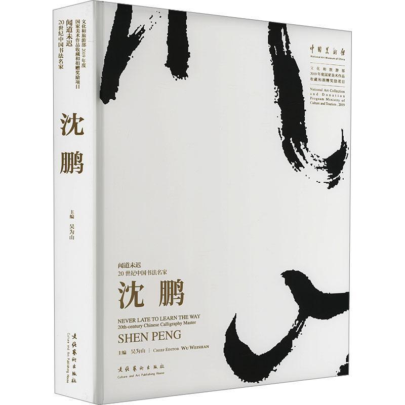 闻道未迟—20世纪中国书法名家沈鹏: