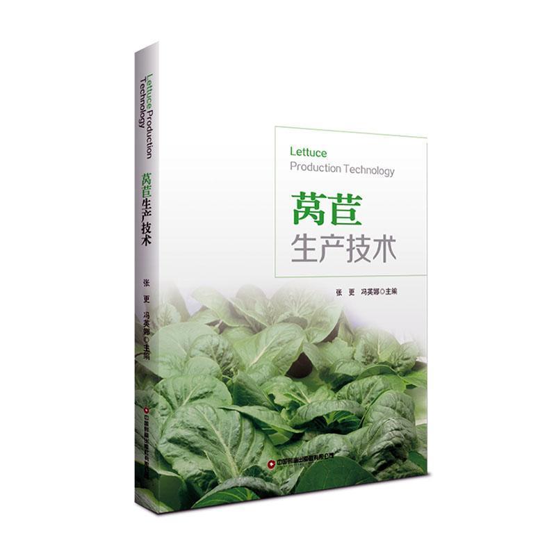 莴苣生产技术