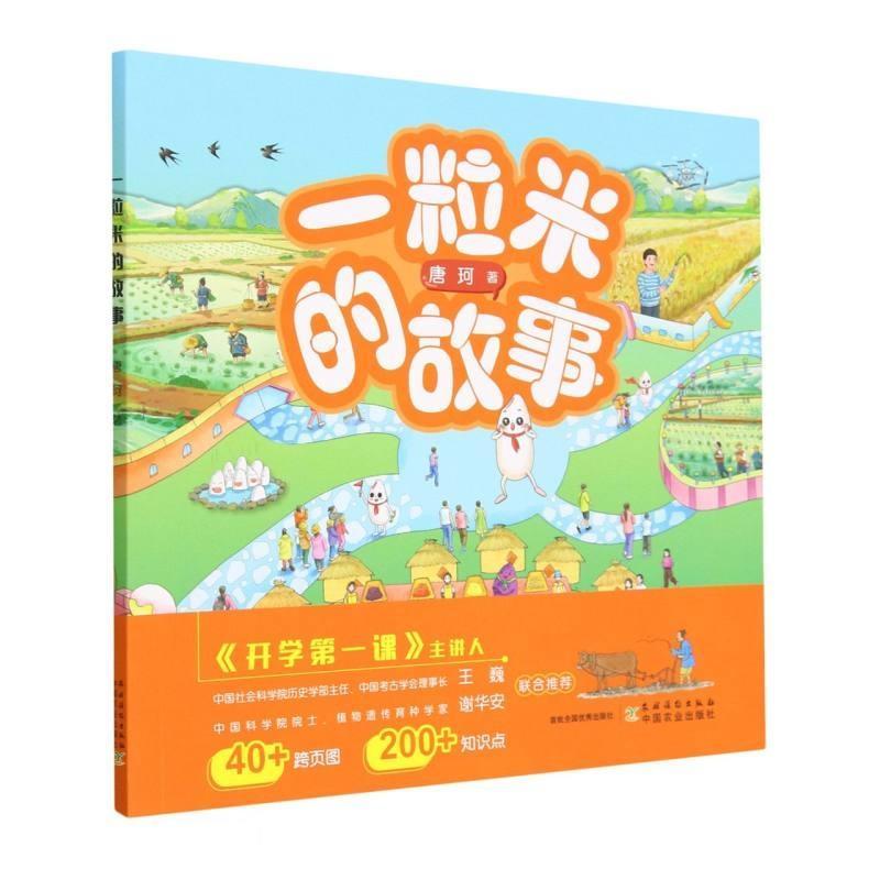一粒米的故事