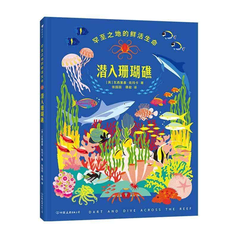 潜入珊瑚礁—罕至之地的鲜活生命