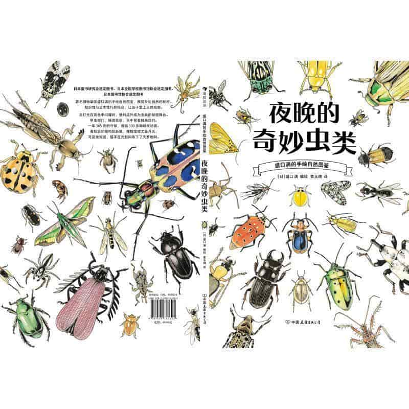夜晚的奇妙虫类