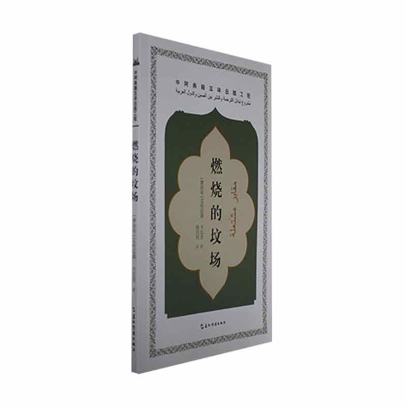 燃烧的坟场