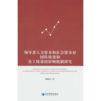 领导者人力资本和社会资本对团队绩效和员工绩效的影响机制研究