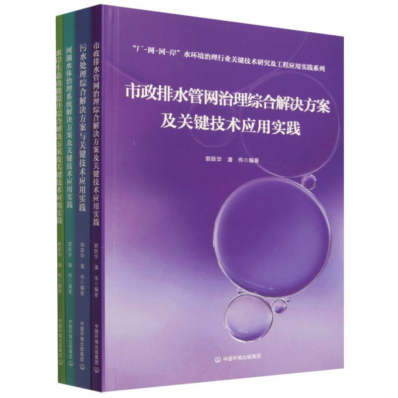 市政排水管网治理综合解决方案及关健技术应用实践