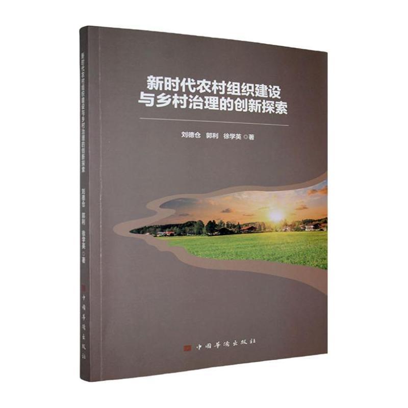 新时代农村组织建设与乡村治理的创新探索