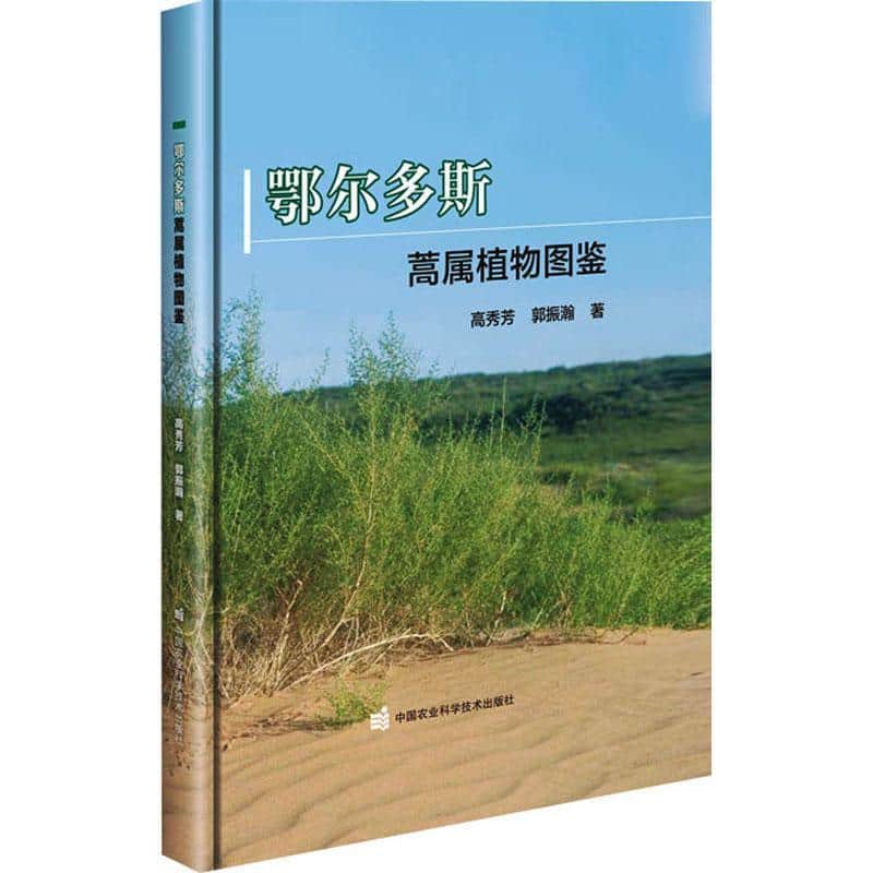 鄂尔多斯蒿属植物图鉴