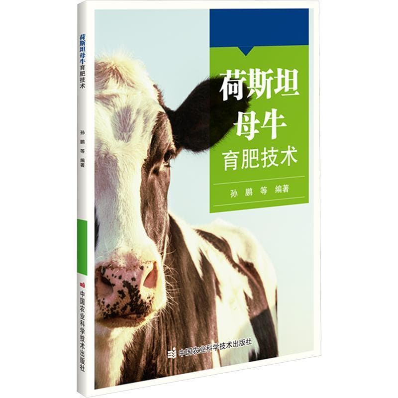 荷斯坦母牛育肥技术