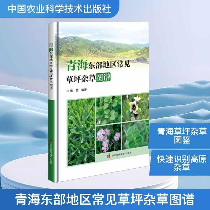 青海东部地区常见草坪杂草图谱