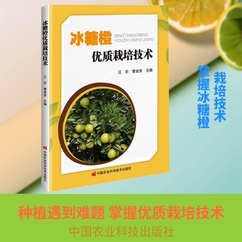 冰糖橙优质栽培技术