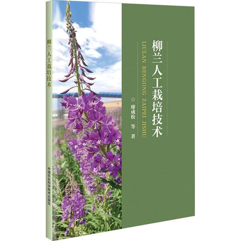 柳兰人工栽培技术