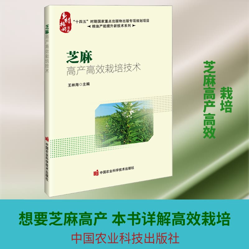 芝麻高产高效栽培技术