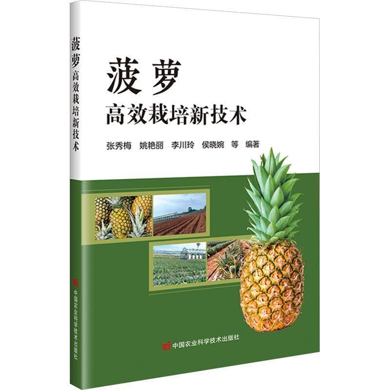 菠萝高效栽培新技术