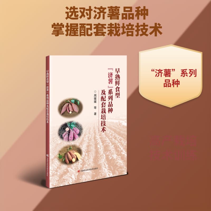 早熟鲜食型“济薯”系列品种及配套栽培技术
