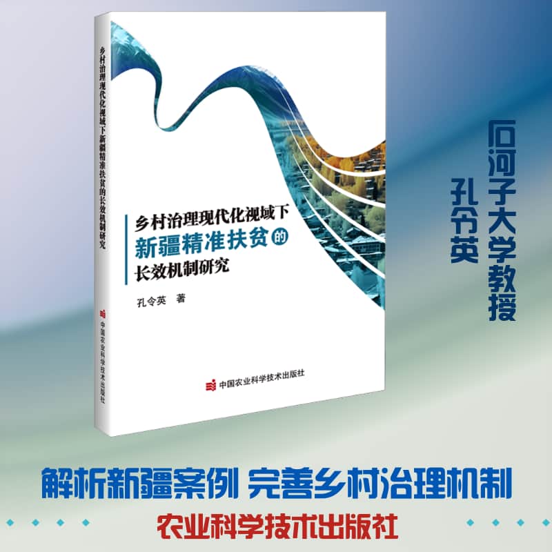 乡村治理现代化视域下新疆精准扶贫的长效机制研究