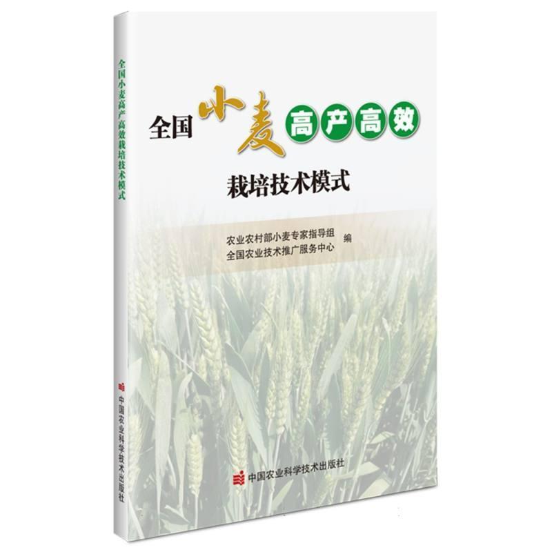全国小麦高产高效栽培技术模式