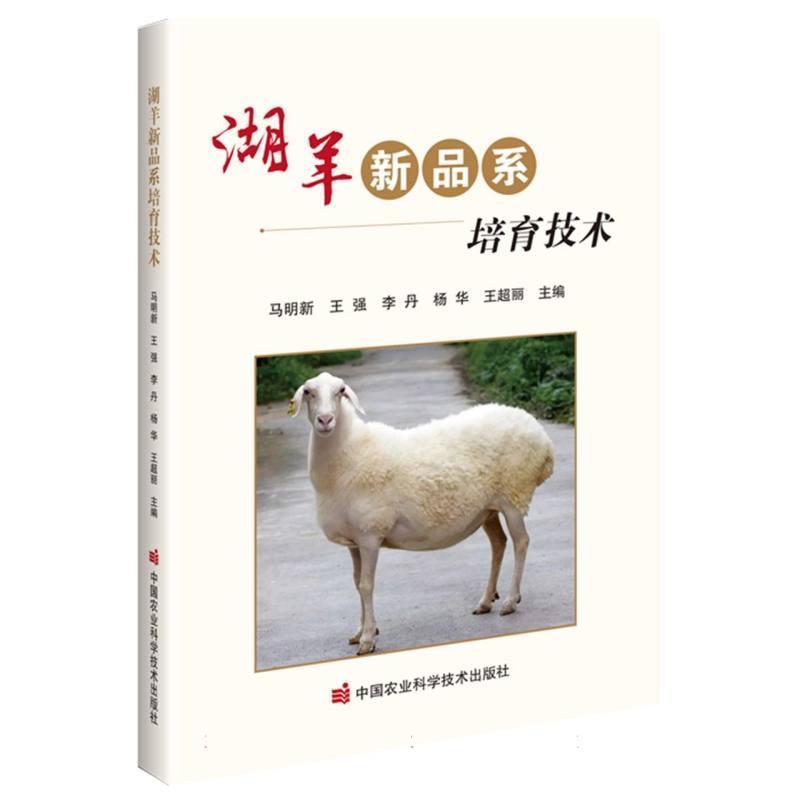 湖羊新品系培育技术