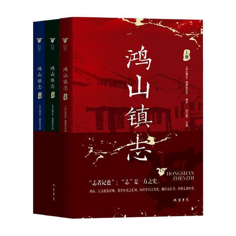 鸿山镇志