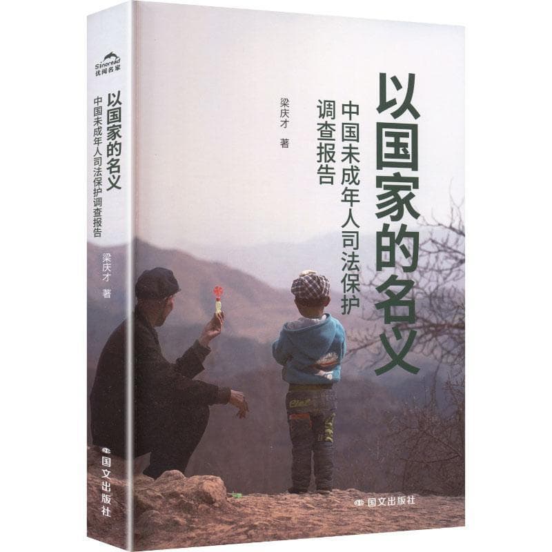 以国家的名义—中国未成年人保护调查报告: