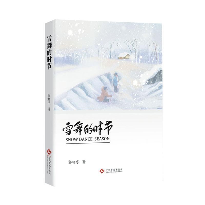 雪舞的时节