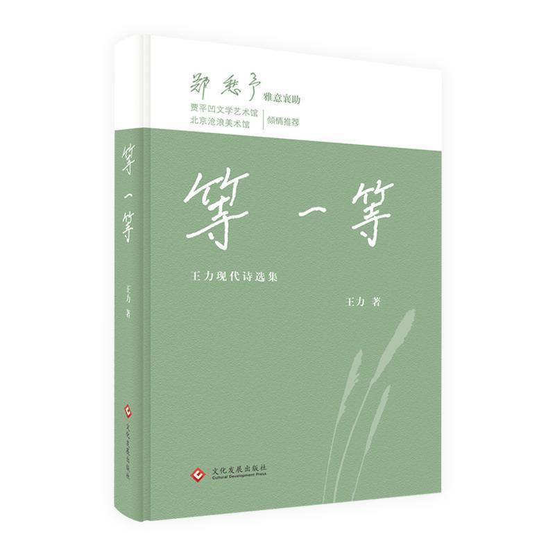 等一等—王力现代诗选集