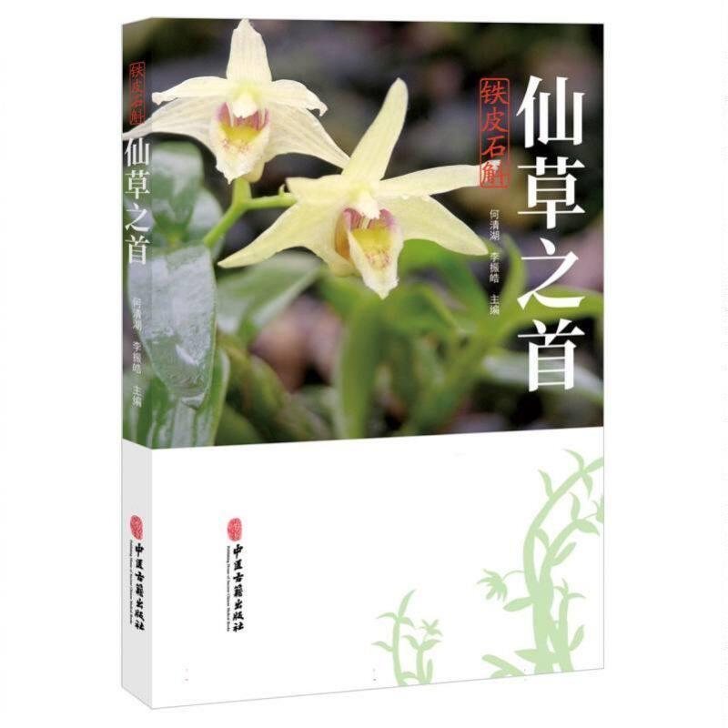 仙草之首—铁皮石斛