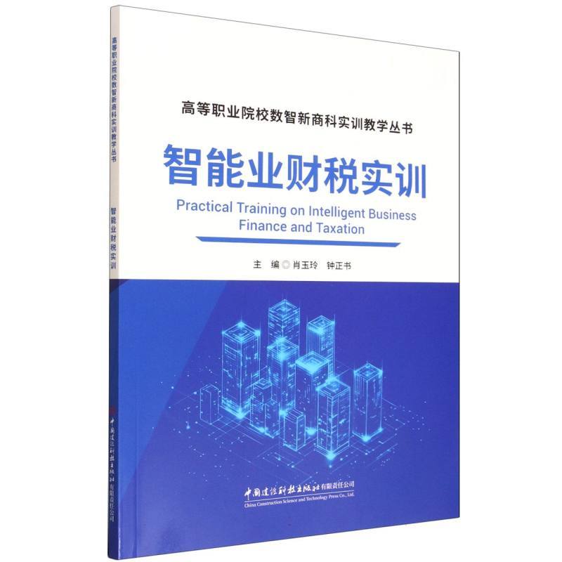智能业财税实训