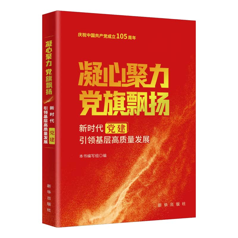 凝心聚力 党旗飘扬—新时代党建引领基层高质量发展