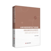 高质量建设现代化产业体系—统筹发展和安全政策研究