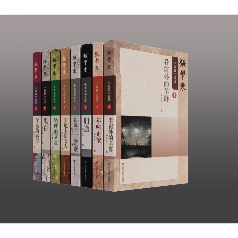 张学东中短篇小说选