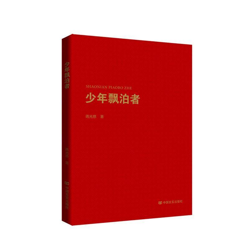 少年飘泊者