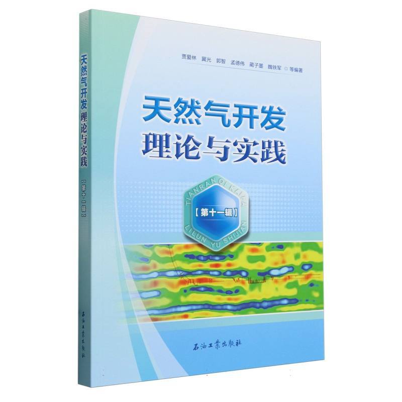 天然气开发理论与实践(第十一辑)