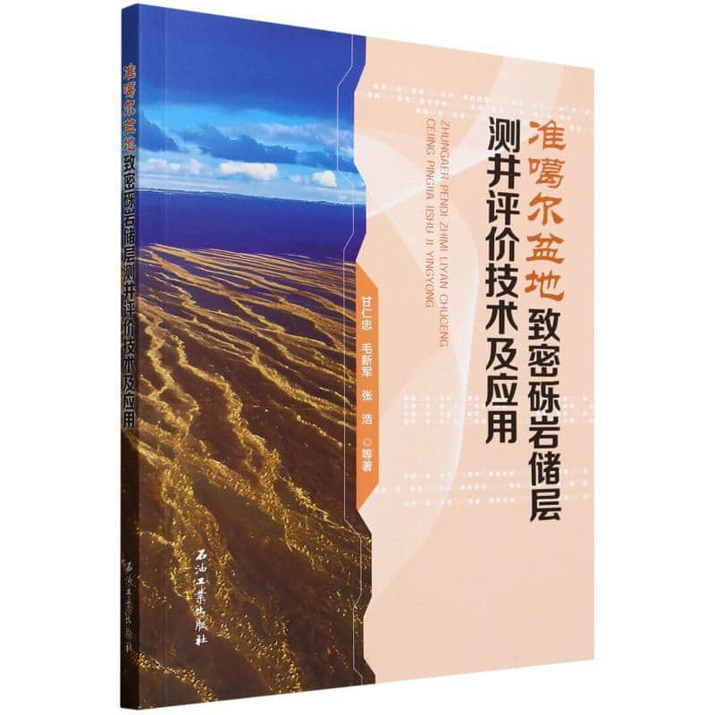 准噶尔盆地致密砾岩储层测井评价技术及应用