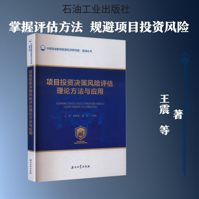 项目投资决策风险评估理论方法与应用