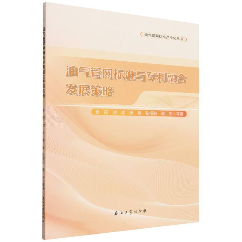 油气管网标准与专利融合发展策略