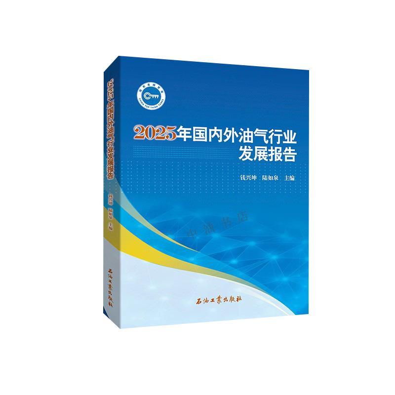 2025年国内外油气行业发展报告