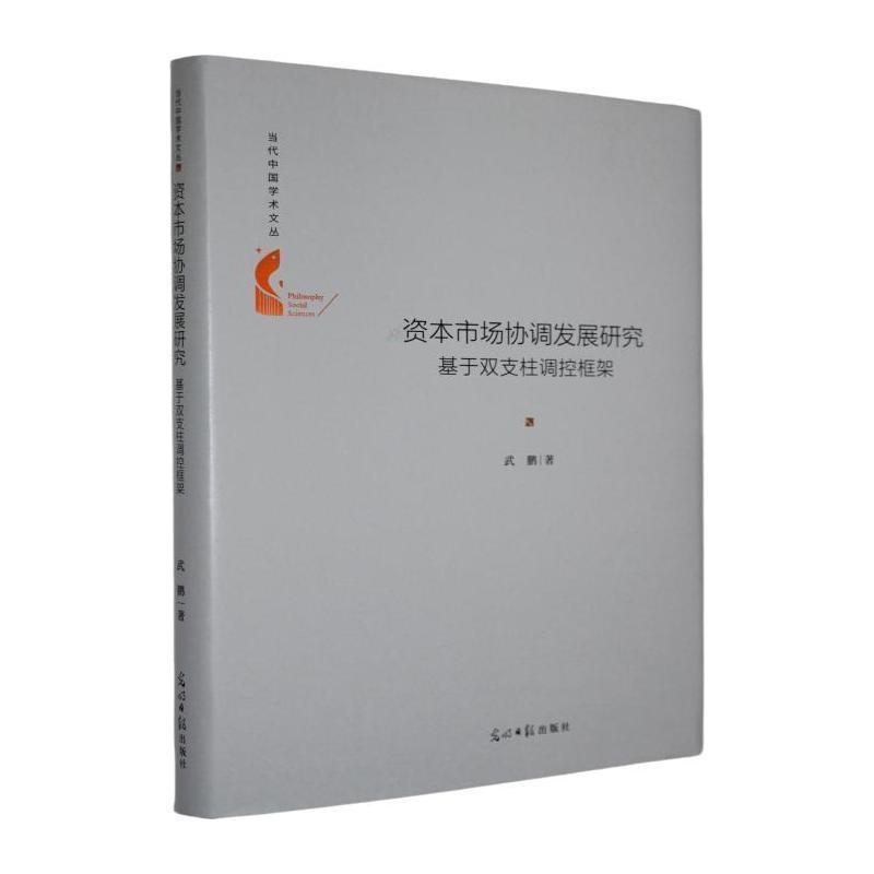 资本市场协调发展研究—基于双支柱调控框架: