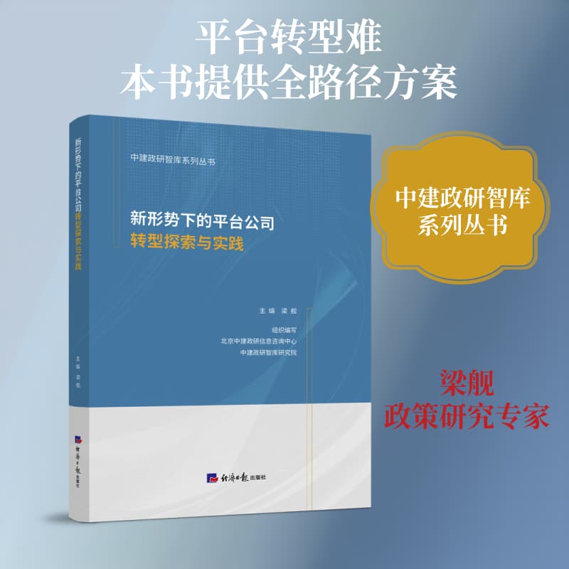 新形势下的平台公司转型探索与实践