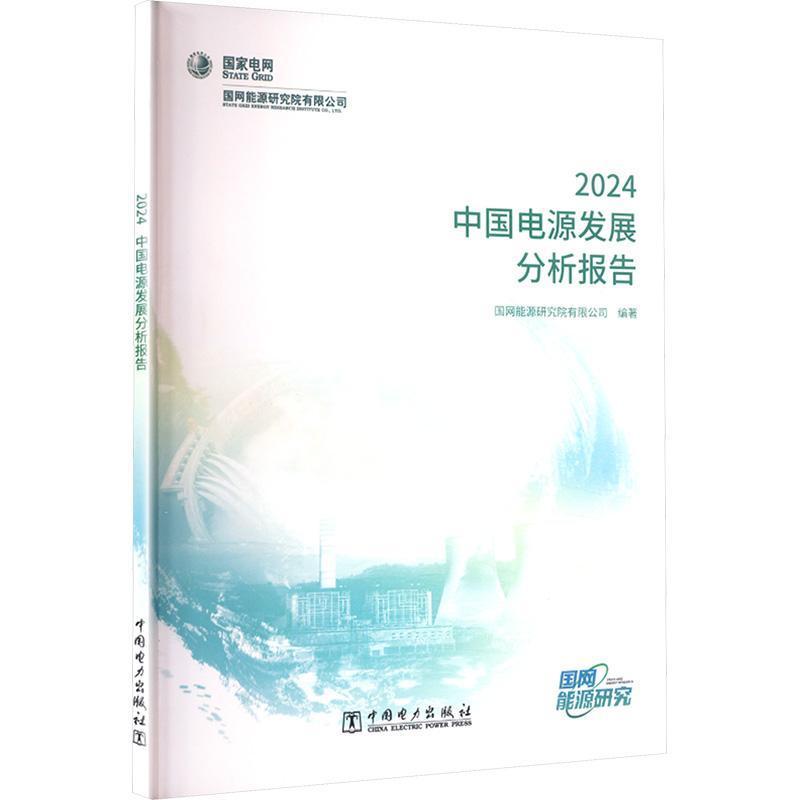 中国电源发展分析报告—(2024):