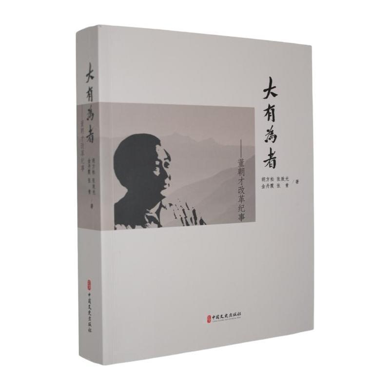 大有为者—董朝才改革纪事